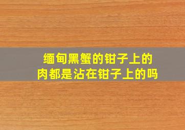 缅甸黑蟹的钳子上的肉都是沾在钳子上的吗