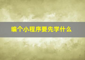 编个小程序要先学什么