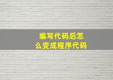 编写代码后怎么变成程序代码