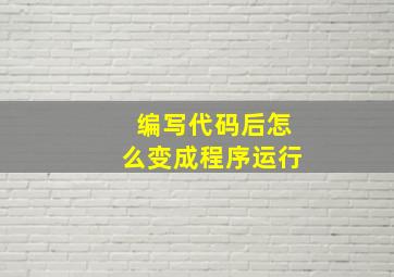 编写代码后怎么变成程序运行