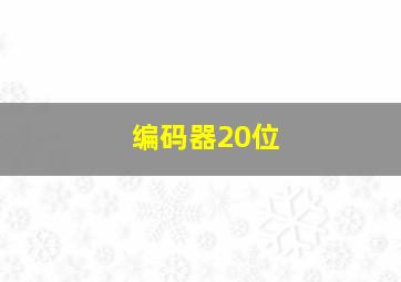 编码器20位