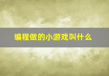 编程做的小游戏叫什么