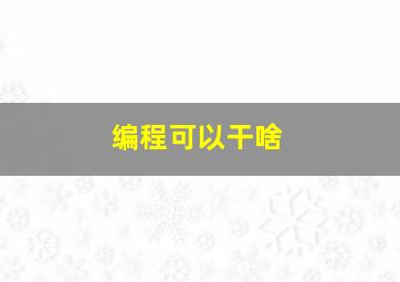 编程可以干啥