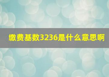 缴费基数3236是什么意思啊