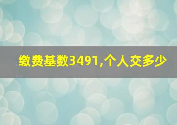 缴费基数3491,个人交多少