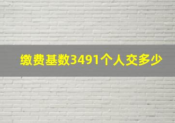 缴费基数3491个人交多少