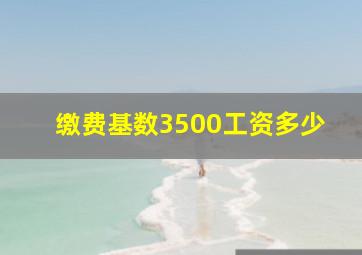 缴费基数3500工资多少