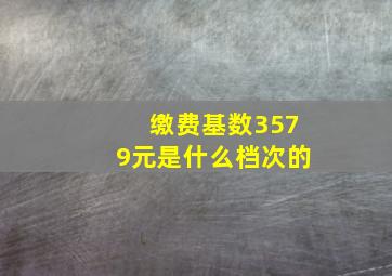 缴费基数3579元是什么档次的