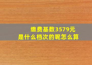 缴费基数3579元是什么档次的呢怎么算