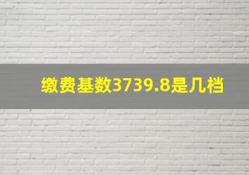 缴费基数3739.8是几档