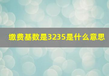 缴费基数是3235是什么意思