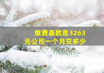 缴费基数是3263元公司一个月交多少