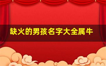 缺火的男孩名字大全属牛