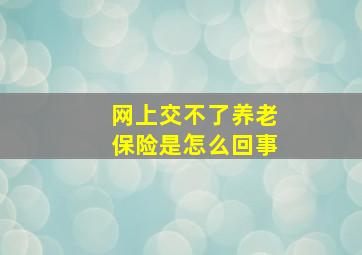 网上交不了养老保险是怎么回事