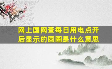 网上国网查每日用电点开后显示的圆圈是什么意思