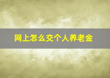 网上怎么交个人养老金