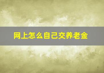 网上怎么自己交养老金