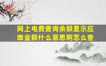 网上电费查询余额显示应缴金额什么意思啊怎么查