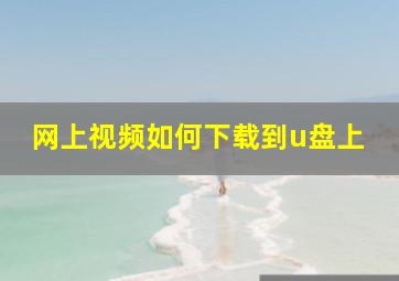 网上视频如何下载到u盘上