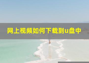 网上视频如何下载到u盘中