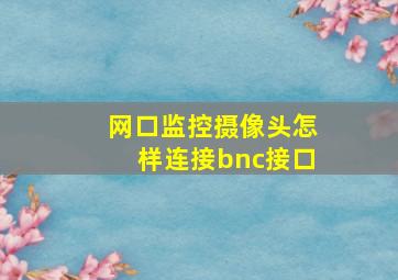 网口监控摄像头怎样连接bnc接口