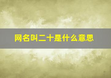 网名叫二十是什么意思