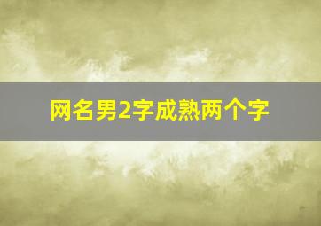 网名男2字成熟两个字