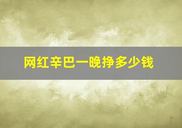 网红辛巴一晚挣多少钱