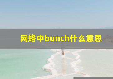 网络中bunch什么意思