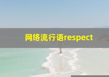 网络流行语respect