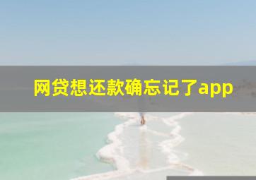 网贷想还款确忘记了app