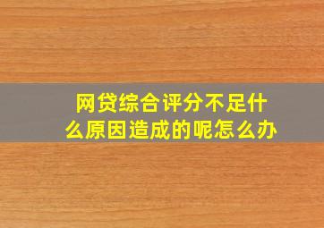 网贷综合评分不足什么原因造成的呢怎么办