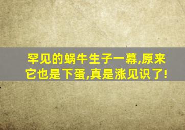 罕见的蜗牛生子一幕,原来它也是下蛋,真是涨见识了!