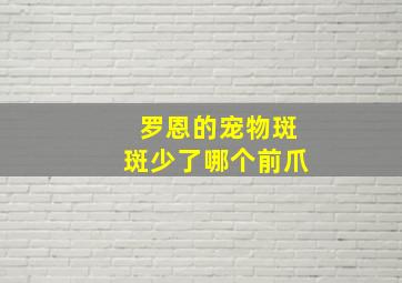 罗恩的宠物斑斑少了哪个前爪