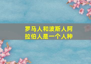 罗马人和波斯人阿拉伯人是一个人种