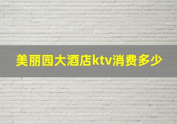 美丽园大酒店ktv消费多少