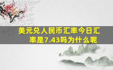 美元兑人民币汇率今日汇率是7.43吗为什么呢