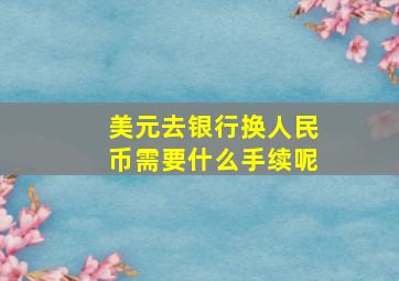 美元去银行换人民币需要什么手续呢