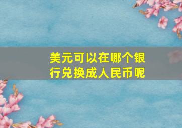 美元可以在哪个银行兑换成人民币呢