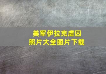 美军伊拉克虐囚照片大全图片下载