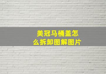 美冠马桶盖怎么拆卸图解图片