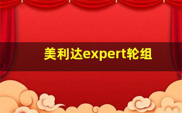 美利达expert轮组