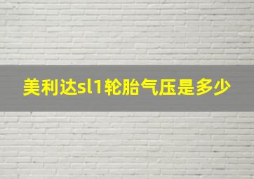 美利达sl1轮胎气压是多少