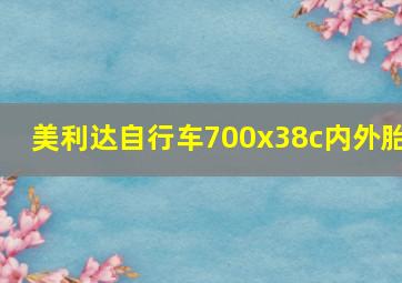 美利达自行车700x38c内外胎