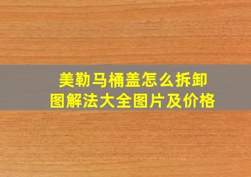 美勒马桶盖怎么拆卸图解法大全图片及价格