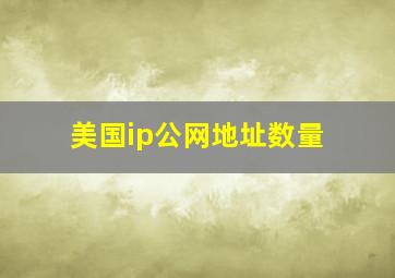 美国ip公网地址数量