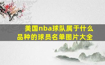 美国nba球队属于什么品种的球员名单图片大全