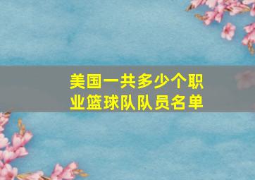 美国一共多少个职业篮球队队员名单