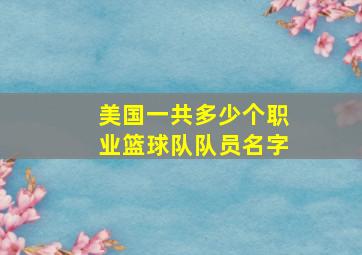 美国一共多少个职业篮球队队员名字