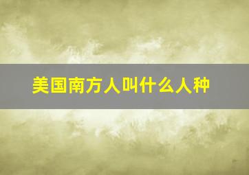 美国南方人叫什么人种